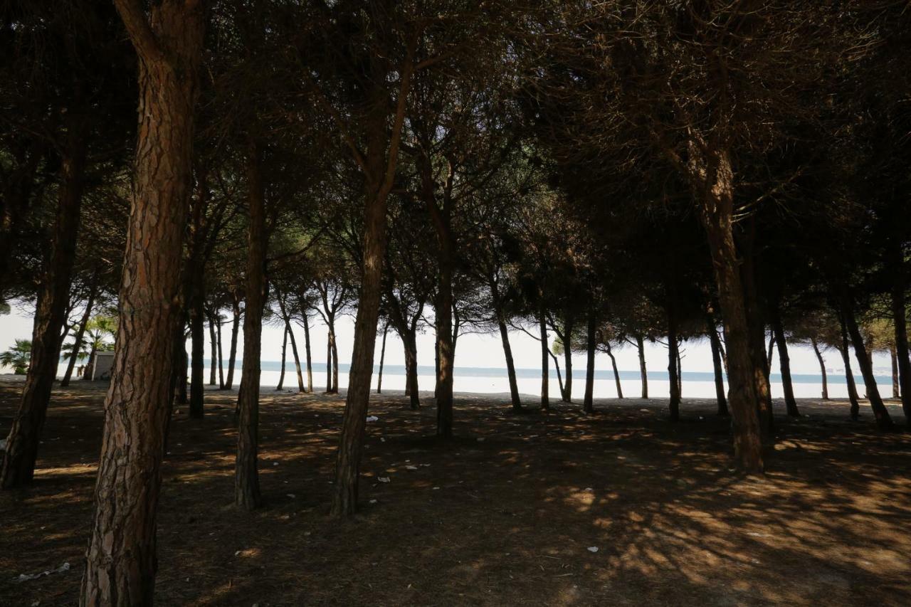 Pine-Tree Apt W/ Private Garden 50 M From The Sea Golem  Exterior photo