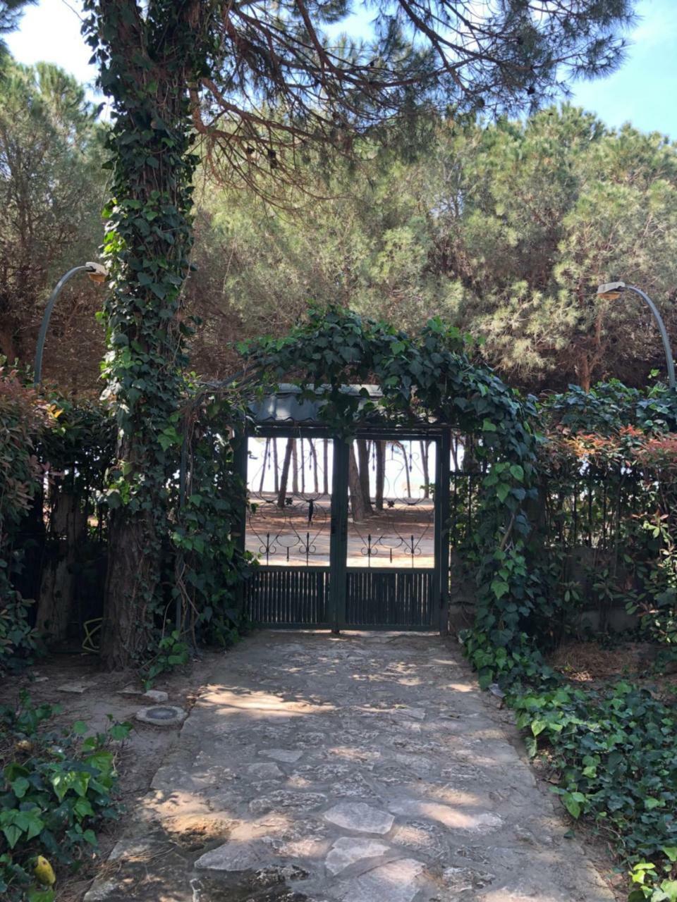 Pine-Tree Apt W/ Private Garden 50 M From The Sea Golem  Exterior photo