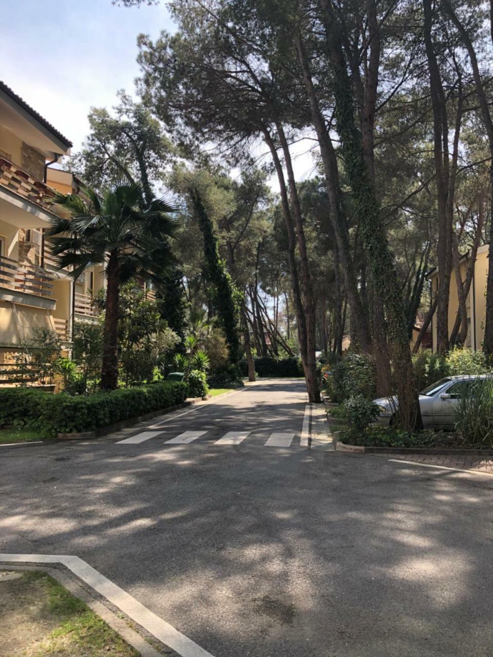 Pine-Tree Apt W/ Private Garden 50 M From The Sea Golem  Exterior photo