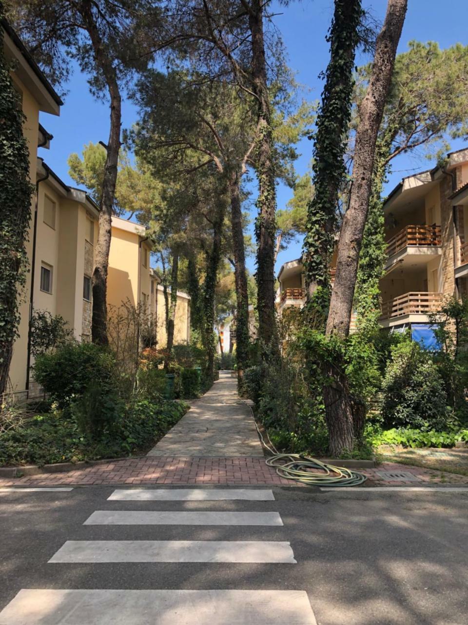 Pine-Tree Apt W/ Private Garden 50 M From The Sea Golem  Exterior photo