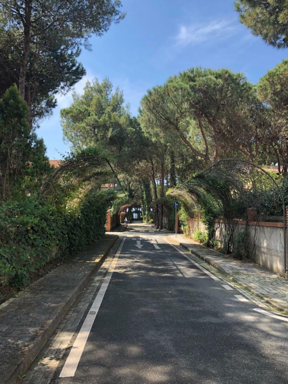 Pine-Tree Apt W/ Private Garden 50 M From The Sea Golem  Exterior photo